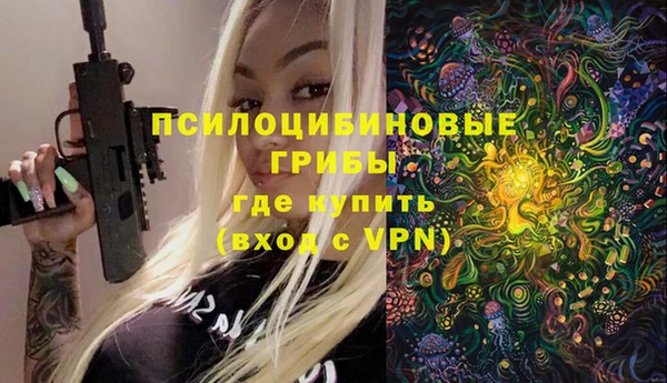 стафф Алзамай