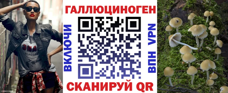 мега вход  Горячеводский  Псилоцибиновые грибы Psilocybe 